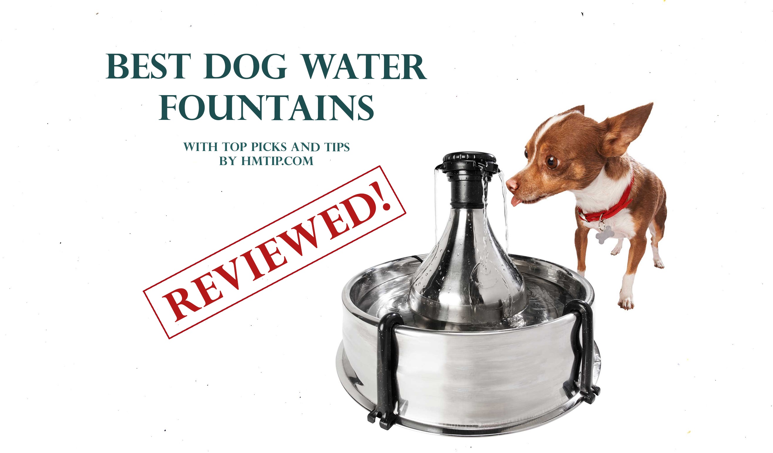 Top dog water fountains