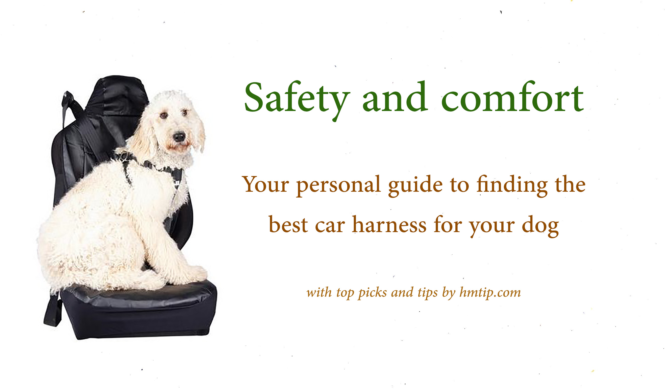 Best dog car harness