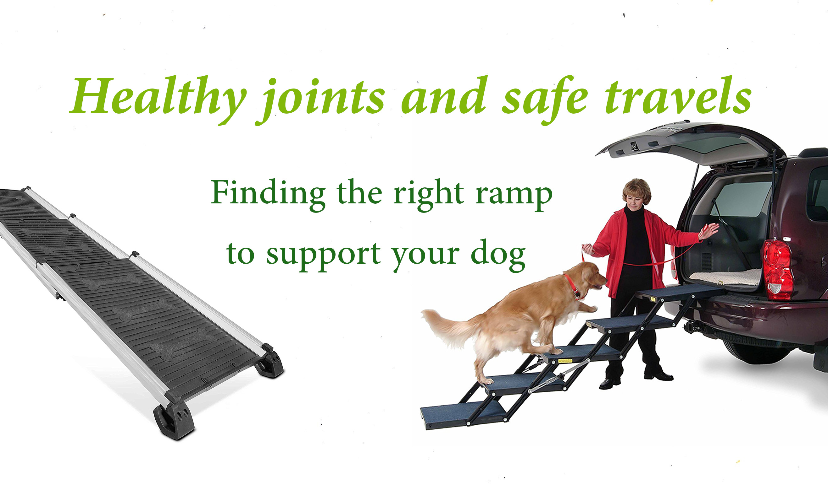 est dog ramps for cars and beds