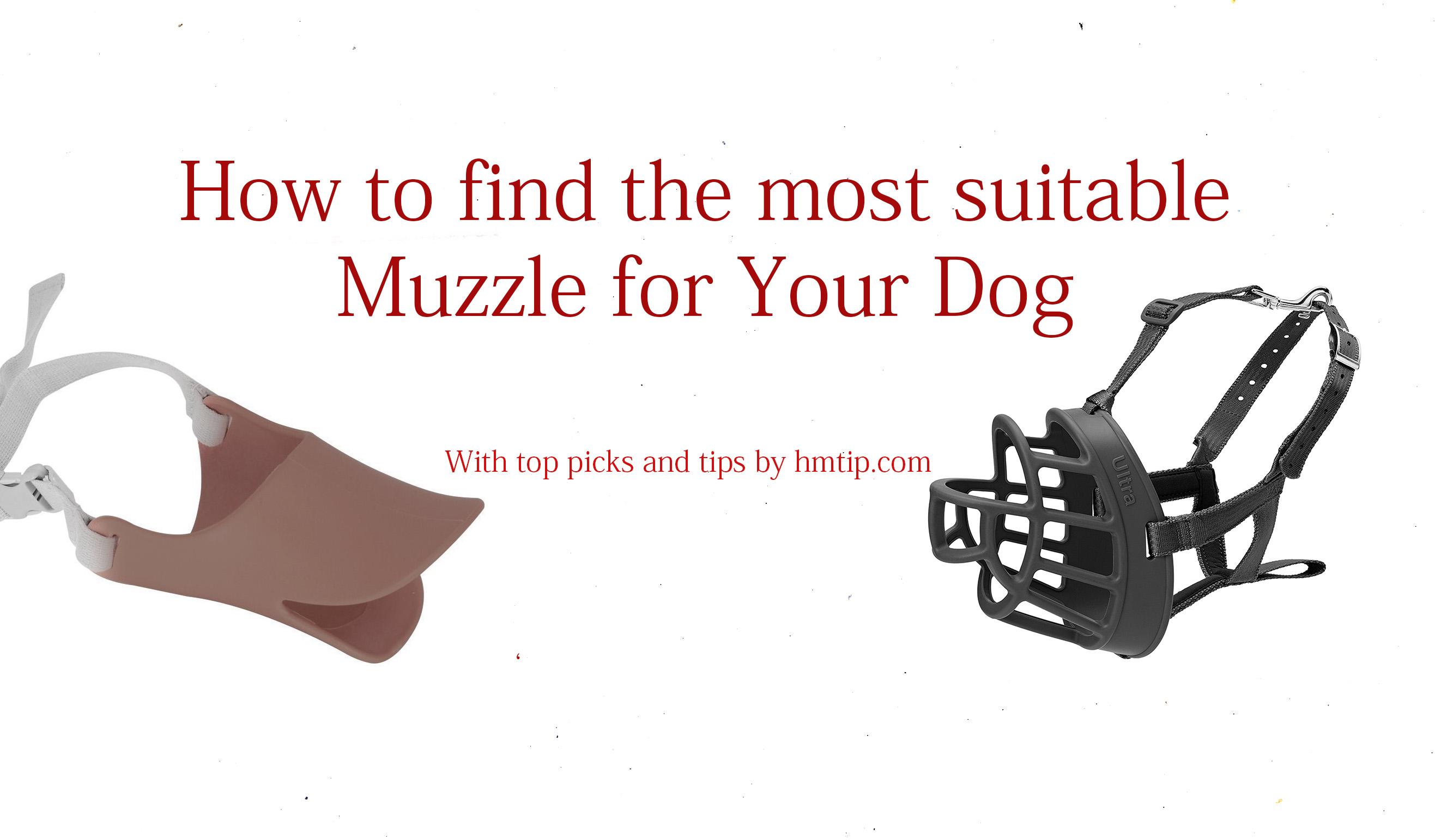 Best dog muzzles